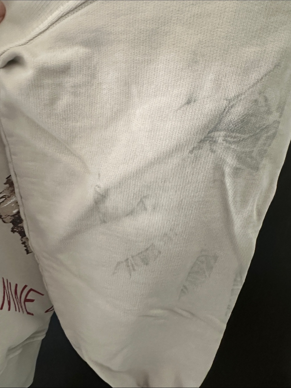 Anine Bing Tiger Sweatshirt in Stone Large - Picture 9 of 12